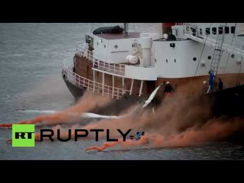 شاهد حماة البيئة في إيسلندا يحتجون على صيد الحيتان