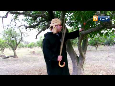 بالفيديو جول على حياة الفلاح الجزائري