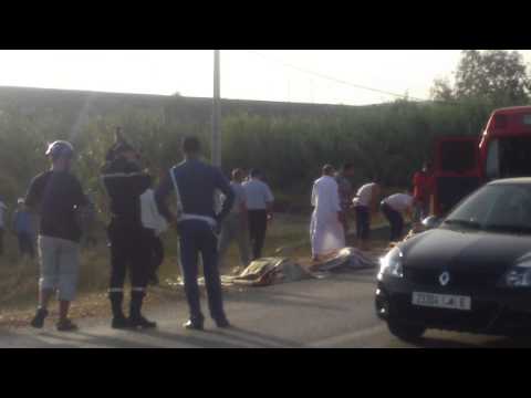 مقتل 4 أشخاص جراء انقلاب شاحنة محمَّلة بالخيول