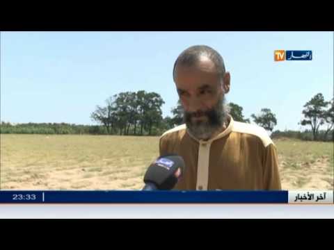 بالفيديو تأخر تسليم عقود الامتياز هاجس يؤرق الفلاحين في الجزائر