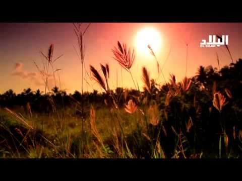 شاهد الابتهال الرمضاني رباه خذ بيدي