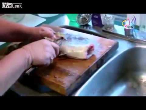 بالفيديو سمكة دون رأس أو أحشاء تهاجم سيدة أثناء تنظيفها