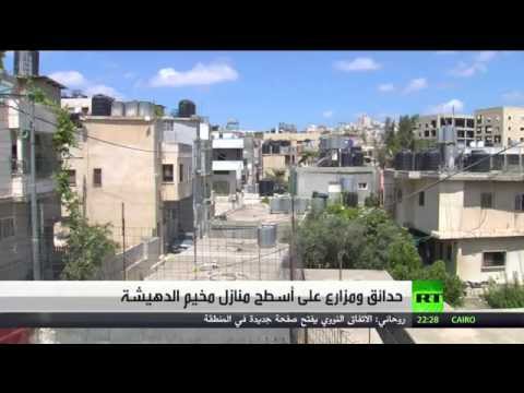 فيديو حدائق ومزارع على أسطح منازل مخيم الدهيشة