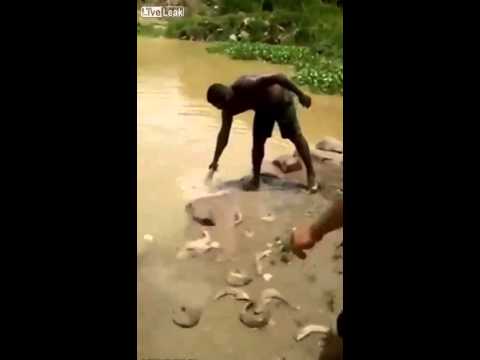 شاهد أسهل طريقة لصيد الأسماك