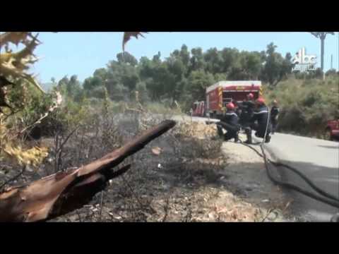 شاهد الرتل المتنقل عين ساهرة على الأطلس البليدي