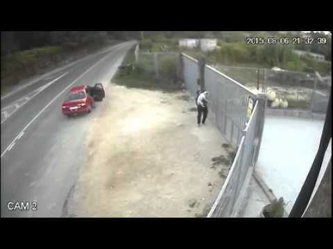 شاهد رمي كلب من أعلى سور ملجأ في إسبانيا