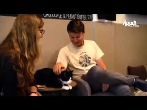 شاهد احتساء القهوة رفقة القطط في مقهى خاص