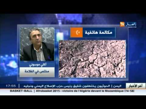 شاهد موسم كارثي لمحصول الحبوب