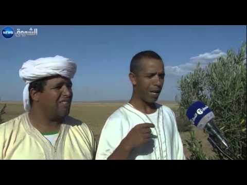 مئات الفلاحين في عين سيدي علي تحت رحمة التسيب الإداري