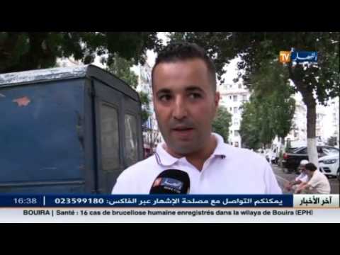 شاهد  أنصار شباب بلوزداد يتوعدون مولودية الجزائر بالهزيمة