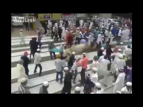 بالفيديو بقرة تهاجم المصلين لحظة خروجهم من مسجد