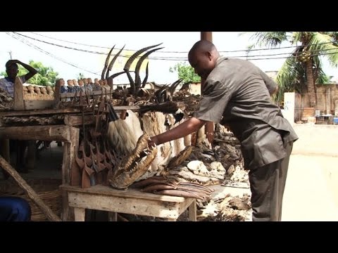 شاهد مرضى وسياسيون وسياح داخل سوق المشعوذين في عاصمة توغو