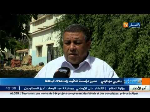 شاهد أكثر من 3 ألاف طن من البطاطا مهددة بالإتلاف