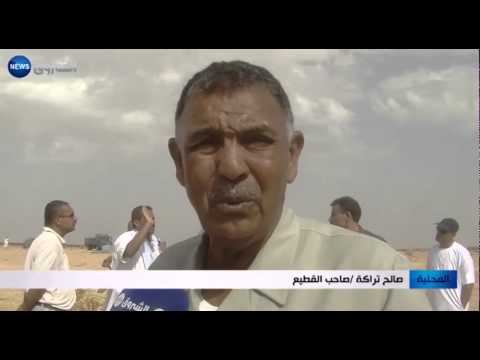 مليار سنتيم خسائر نفوق الإبل في ولاية بكسرة