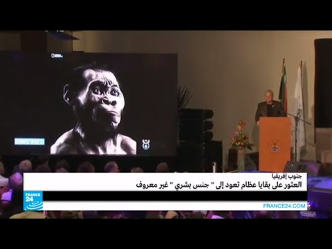 اكتشاف بقايا عظام تعود إلى جنس بشري غير معروف