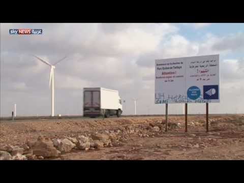 طرفاية المغربية أكبر مزرعة لطواحين الهواء