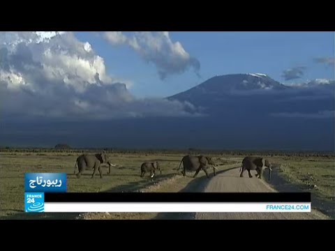 بالفيديو تعرف على كليمنجارو أعلى قمة في أفريقيا