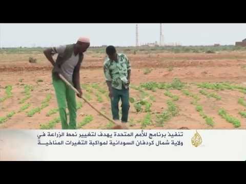 شاهد برنامج أممي في ولاية شمال كردفان السودانية