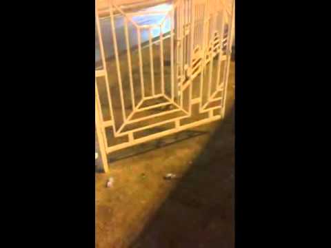 شاهد تداول مقطع لسقوط الأمطار على مشعر منى