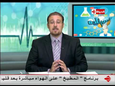 نظام الهرم الغذائي