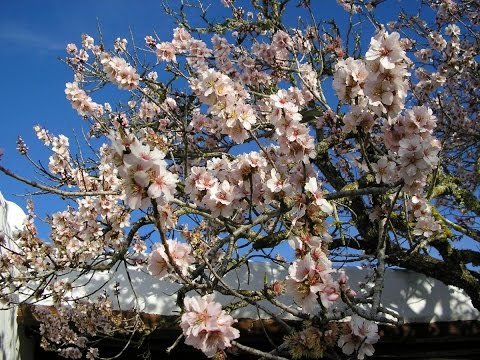 مشاكل بيئية كثيرة تحتاج إلى جهود كبيرة لمعالجتها