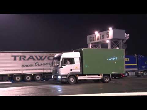 شاهد دب قطبي يفاجئ مهاجرين غير شرعيين