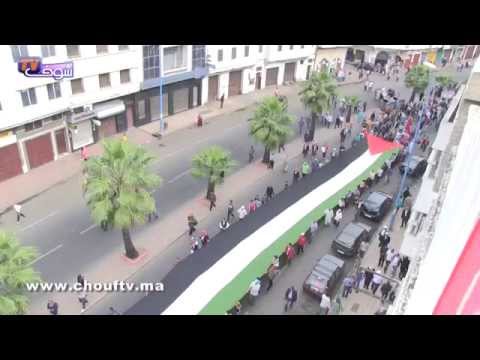 شاهد علم فلسطيني مساحته 350 متر مربع يزين المسيرة التضامنية مع فلسطين