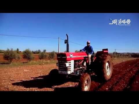 الفلاحون ينطلقون في موسم حرث الأراضي الزراعية
