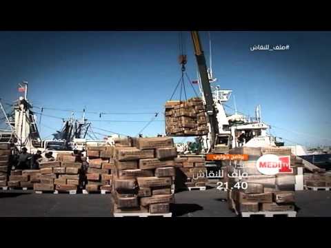 شاهد التنمية في الأقاليم الجنوبية