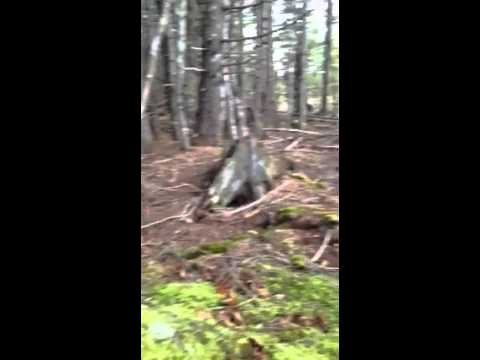 شاهد لقطات مخيفة للأرض وهي تتنفس