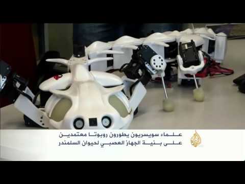 تطوير روبوت بالاعتماد على الجهاز العصبي للسلمندر