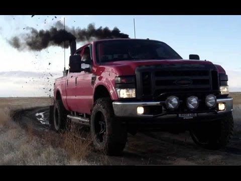 شاهد  بعض اللحوم تعادل في خطرها الديزل