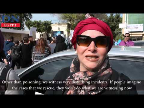 شاهد موقع إنجليزي يسلط الضوء على مذبحة القطط في الأهلي