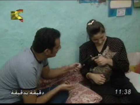 تداول حلقة لطارق علام يظهر بها قط بلدى يتحدث مثل الأطفال