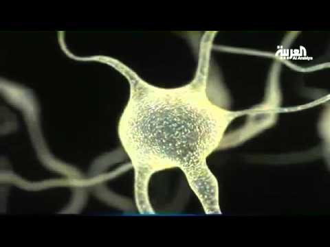 شاهد ضغوط الحياة لها فوائد عدة