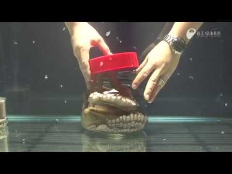 بالفيديو سيدة كولومبية تلقن زوجها درسا قاسيا بعد ضبطه مع عشيقته