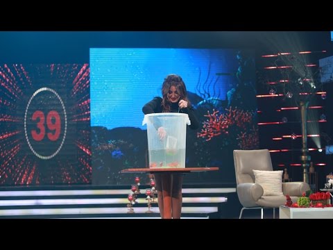 شذى حسون ترقص على “حلاوة روح” فى برنامج لبنانى