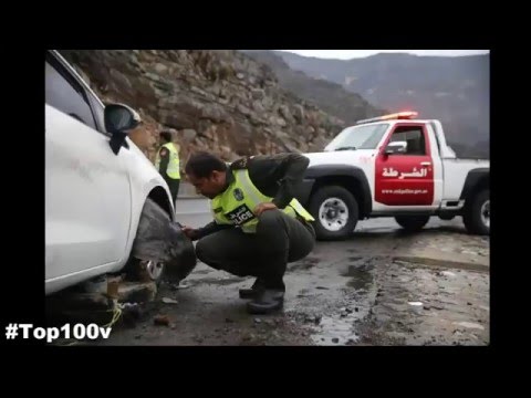 شاهد الرياح تقتلع الأشجار والسيول تحول الشوارع لأنهار