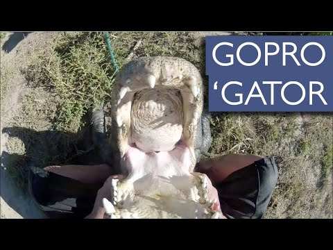 أميركي يمسك بفك تمساح عمره 30 عامًا