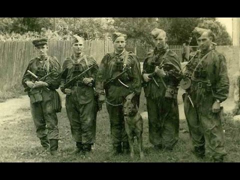 بالفيديو الحرب لم تنته عام 1945 بل استمرت حتى الخمسينات