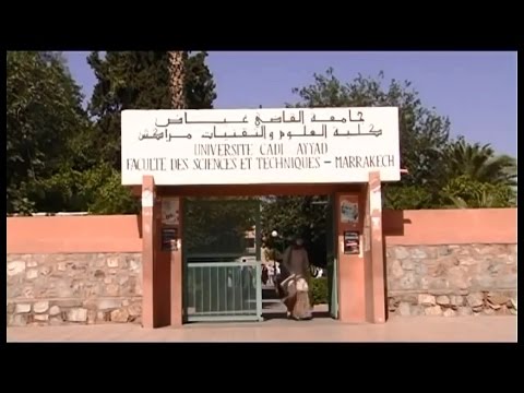 شاهد أفضل جامعات المغرب  وأفريقيا