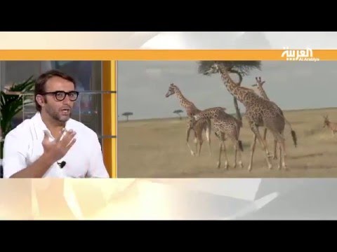 نصائح ومخاطر قبل أن تذهب إلى أفريقيا