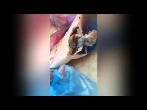 شاهد العثور على أعمال سحر