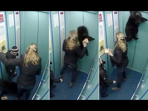 حسن تصرف سيدة روسية تنقذ كلبها من الموت شنقا