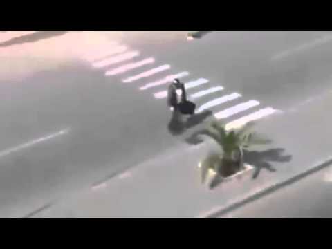 بالفيديو سرقة سيارة من الشارع